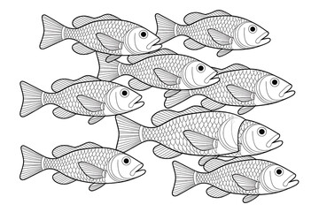 Fototapeta premium School of fish swimming in a coordinated group. 