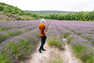 Man walking through lavender field on a summer day