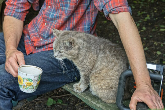 one man holding a cup of tea in his hand and sitting on a bench next to a gray cat on a summer street