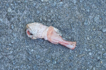 a piece of one red raw chicken meat with white bones lies on gray asphalt on the street