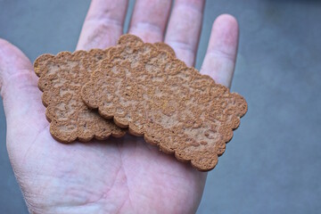 two brown biscuit cookies lie on the palm of a hand on a gray background on a summer street