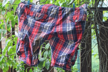one wet shorts made of colored fabric hanging on a wire against the background of green vegetation on a summer street
