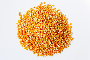 Yellow raw unpopped popcorn kernels