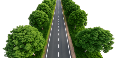 Top down aerial view of a straight two lane asphalt road lined with lush green trees isolated on a transparent background 2