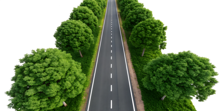Top down aerial view of a straight two lane asphalt road lined with lush green trees isolated on a transparent background 2