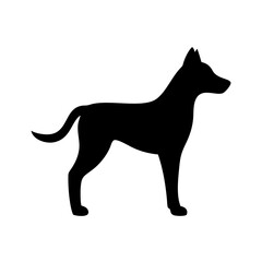 Silhouette of a canine standing calmly with its tail slightly curved upwards and pointed ears shown clearly