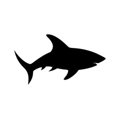 A silhouette of a marine predator swimming in the ocean with a dorsal fin and sharp teeth is shown here