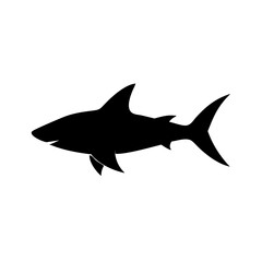 A dark silhouette of a marine predator swimming to the left against a white background is presented here