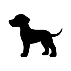 Silhouette of a small canine standing with a curled tail and short legs on a white background image
