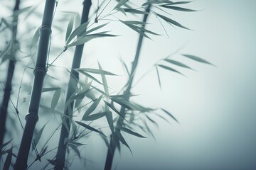 bamboo forest background