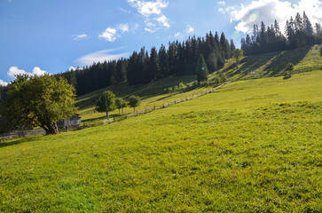 Serene rural scene features lush green grass, wooden fences, scattered trees, and a forested...