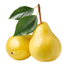 Two fresh, ripe green and yellow pears with leaves, isolated on a white background, a healthy, sweet organic fruit snack
