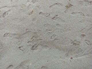 Sandy Beach with Multiple Footprints Texture