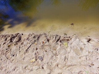 Sandy Shoreline Meeting Calm Muddy Water