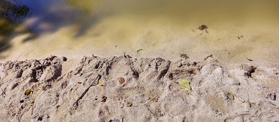 Sandy Shoreline Meeting Calm Muddy Water