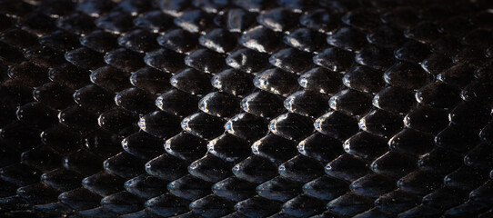 Macro scaly snake skin. Snake scale pattern. Black snake scales. Close-up of snakeskin scales....