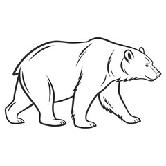 Obraz premium Vector illustration of a walking bear in black and white outline suitable for design