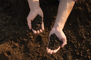 Man holding pile of soil in field, top view