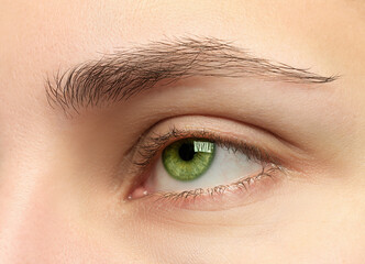 Closeup view of woman with green eyes