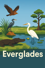 Florida Everglades Wildlife and Wetlands
