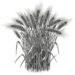 Abstract Plant with White Foliage and Isolated Transparent Background