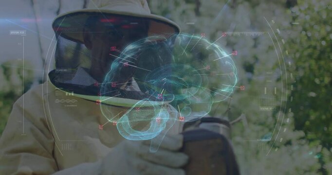 Senior beekeeper positioning hive frame revealing rotating hologram brain overlay for tech analysis