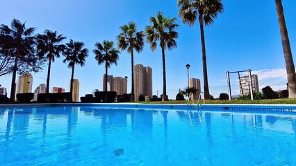 A serene poolside environment showcasing beautifully clear, inviting water alongside lush palm trees