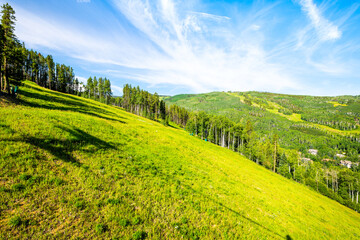 Fototapeta premium Beaver Creek Resort village houses in summer mountains with steep hill green grass near Royal Elk trail peak