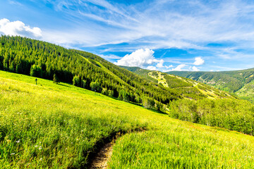 Beaver Creek Grouse mountain at Vail Colorado resorts ski slopes point of view walking in summer with aspen pine spruce tree forest meadow