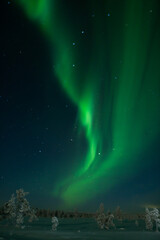 Aurora borealis Northern Lights fully covered the sky. Lapland amazing scenery
