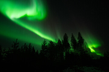 Aurora borealis Northern Lights fully covered the sky. Lapland amazing scenery