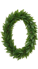 Illustration of Green Laurel Wreath with Leaves Circle on Transparent Background