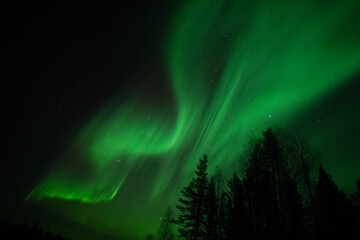 Aurora borealis Northern Lights fully covered the sky. Lapland amazing scenery