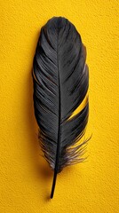 Single floating black feather on bright yellow background, studio lighting, minimalistic style