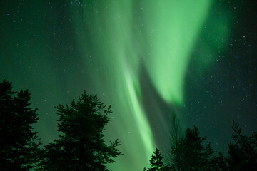 Aurora borealis Northern Lights fully covered the sky. Lapland amazing scenery