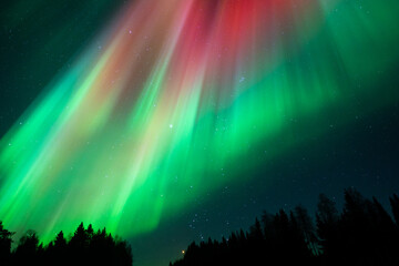 Aurora borealis Northern Lights fully covered the sky. Lapland amazing scenery