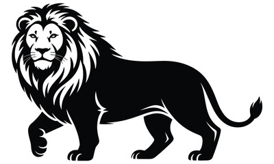 lion vector illustration
