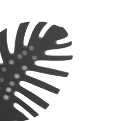 Illustration of Tropical Leaf Plant with Nature Element in Transparent Background