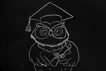 Drawn owl with graduation hat on blackboard