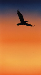 Fototapeta premium silhouette of a bird flying