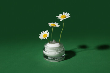 Jar of chamomile cosmetic cream with flowers on green background