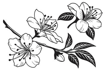 Azalea Blossom Black Clipart Pack