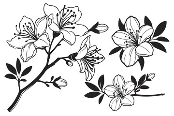 Azalea Blossom Black Clipart Pack