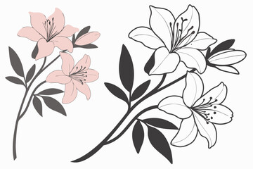 Azalea Silhouette Graphic for Printing and Design