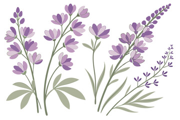 Purple flowers clipart set in watercolor. Violet flower collection clipart