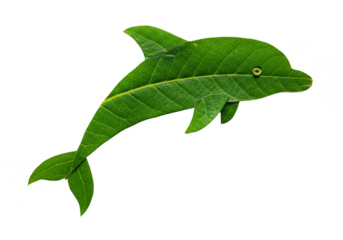 Isolated Green Dolphin Leaf Creative Design on Transparent Background