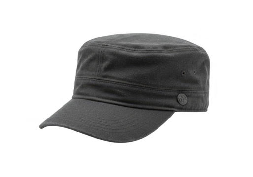 Isolated Transparent Background Glittering Silver Sparkle Fashion Cap Hat - Powered by Adobe