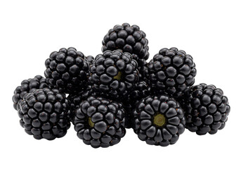 Isolated Heap of Ripe and Juicy Blackberries Transparent Background