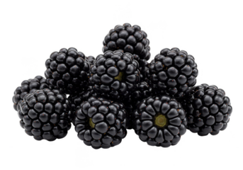 Isolated Heap of Ripe and Juicy Blackberries Transparent Background