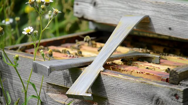 Closeup tools in a beehive box daylight view of beekeeping tools